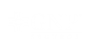 GNP