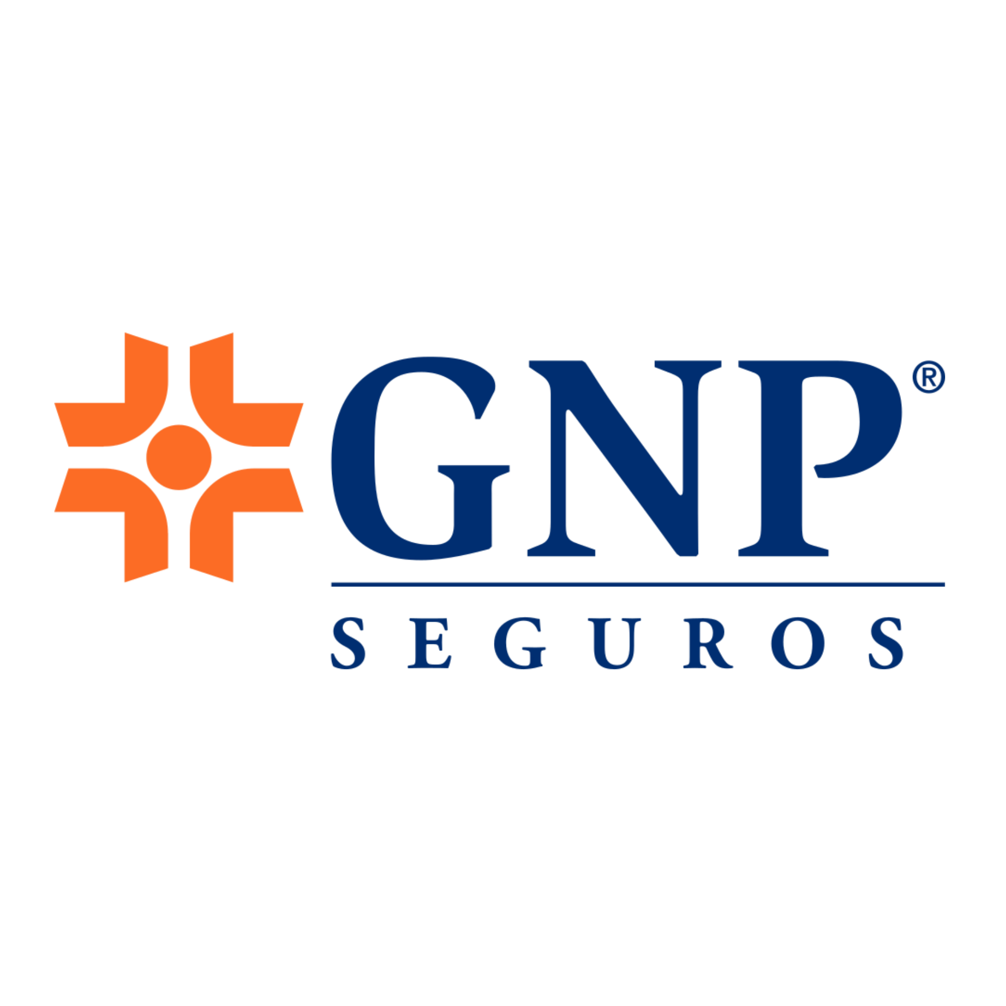 GNP